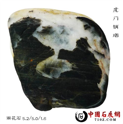 �������� ����.jpg