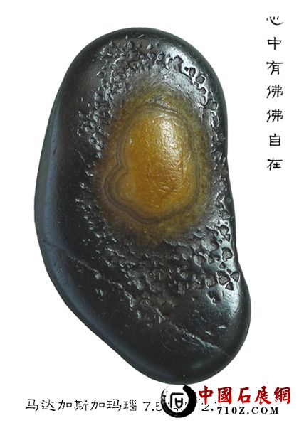 �����з������ ����1.jpg