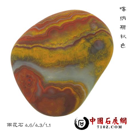 ����˹��ɫ ����1.jpg