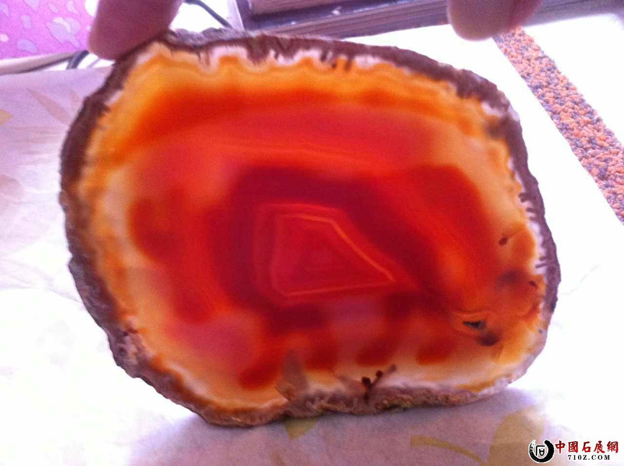 ���Ǳ������Ĺ���