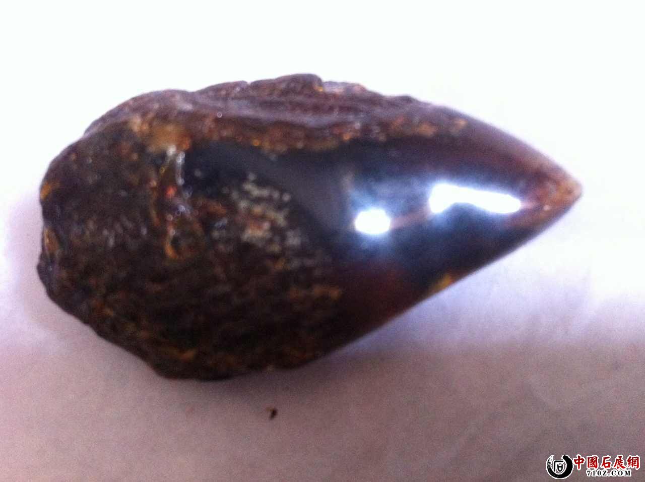 ��Ȼ�Ĺ���