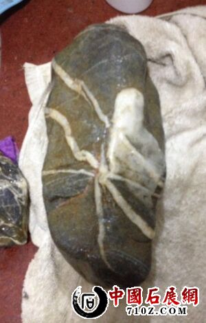 ����ٵ���Ӱ