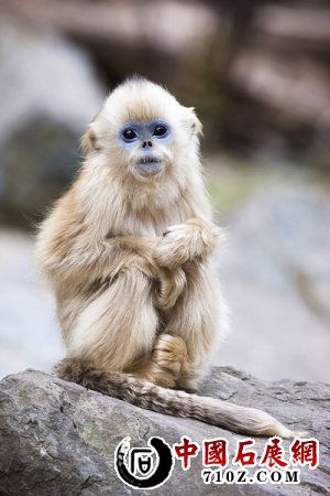 �ο�ԭʼ��˿����