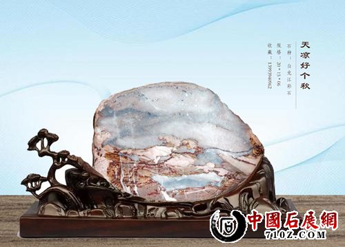 Ͷ�塣�ղأ�����Ȫ����ϵ�绰��13993940962