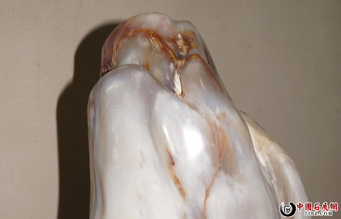 B. ���±��Ŵ�