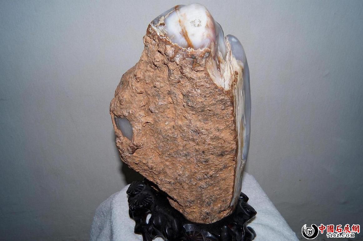 D. ������ - ��Ƥ��ľ������