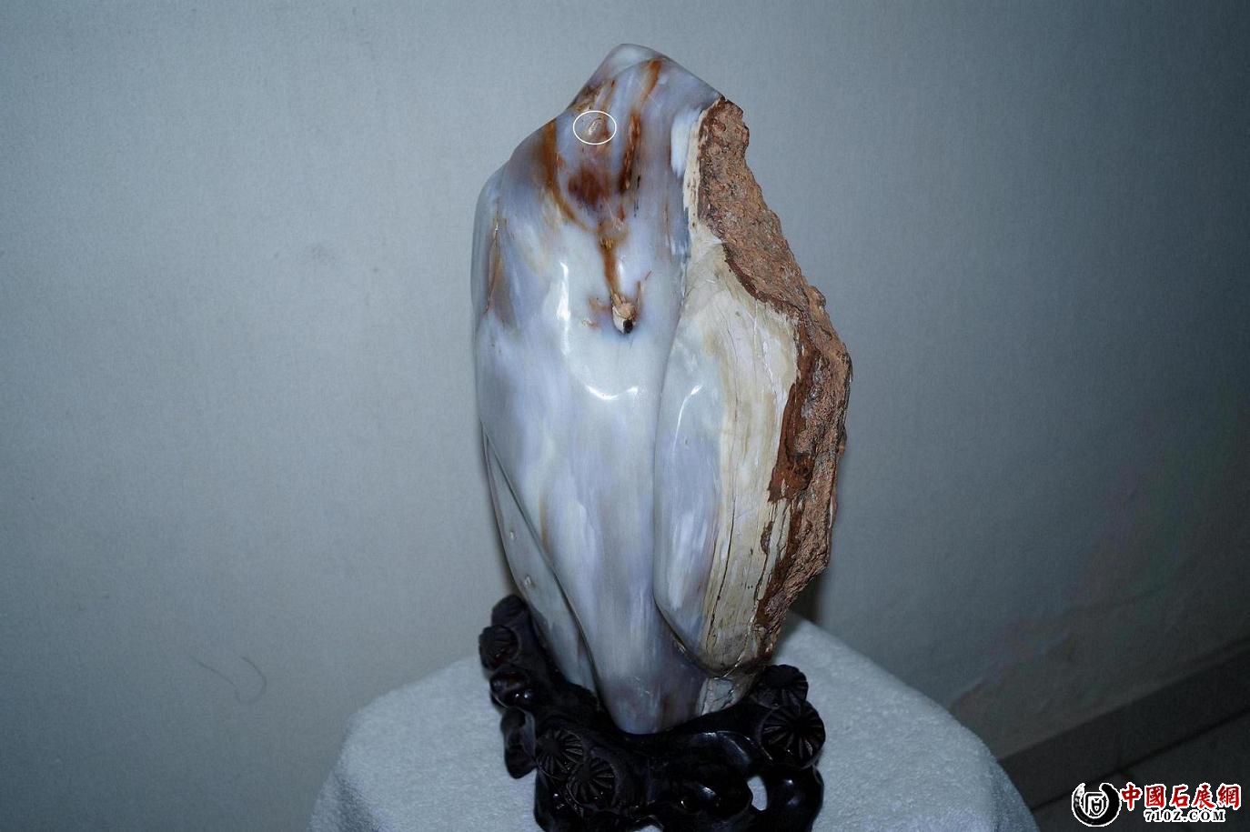 E. ������С��