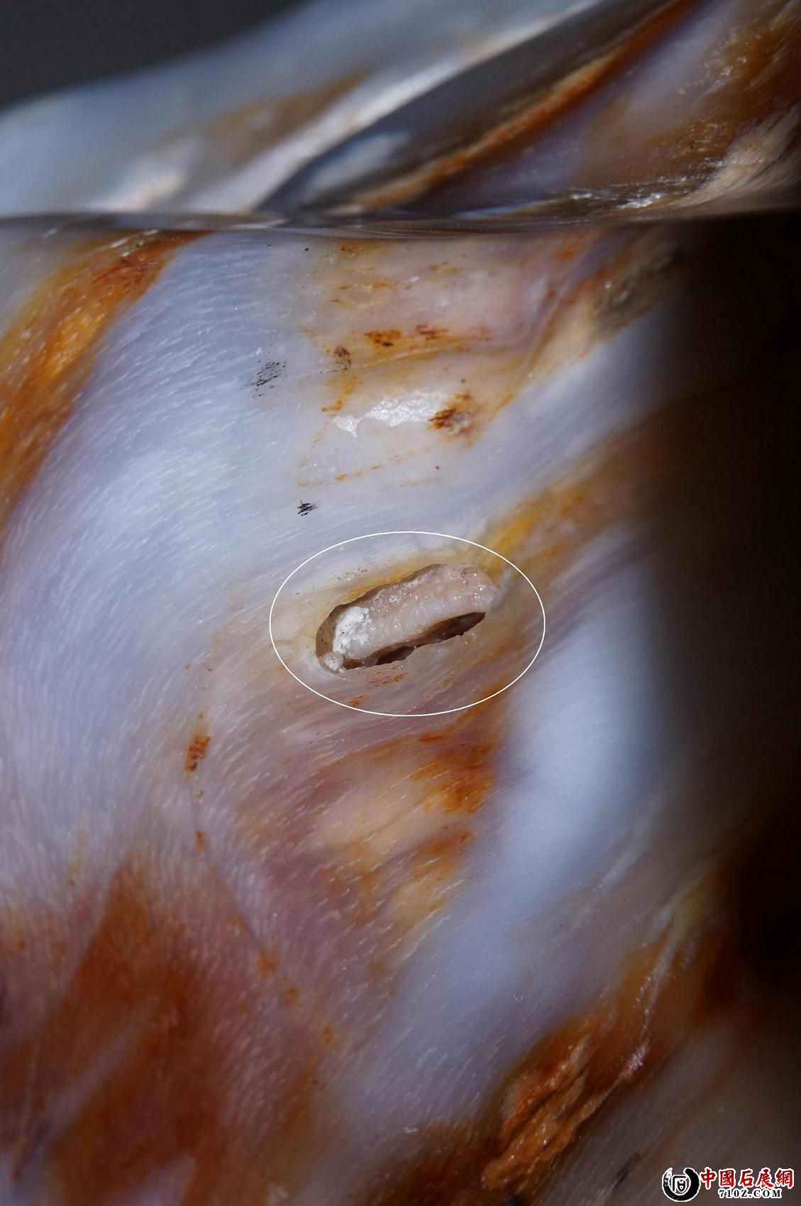 F. �滯��ԭ�ߴ�