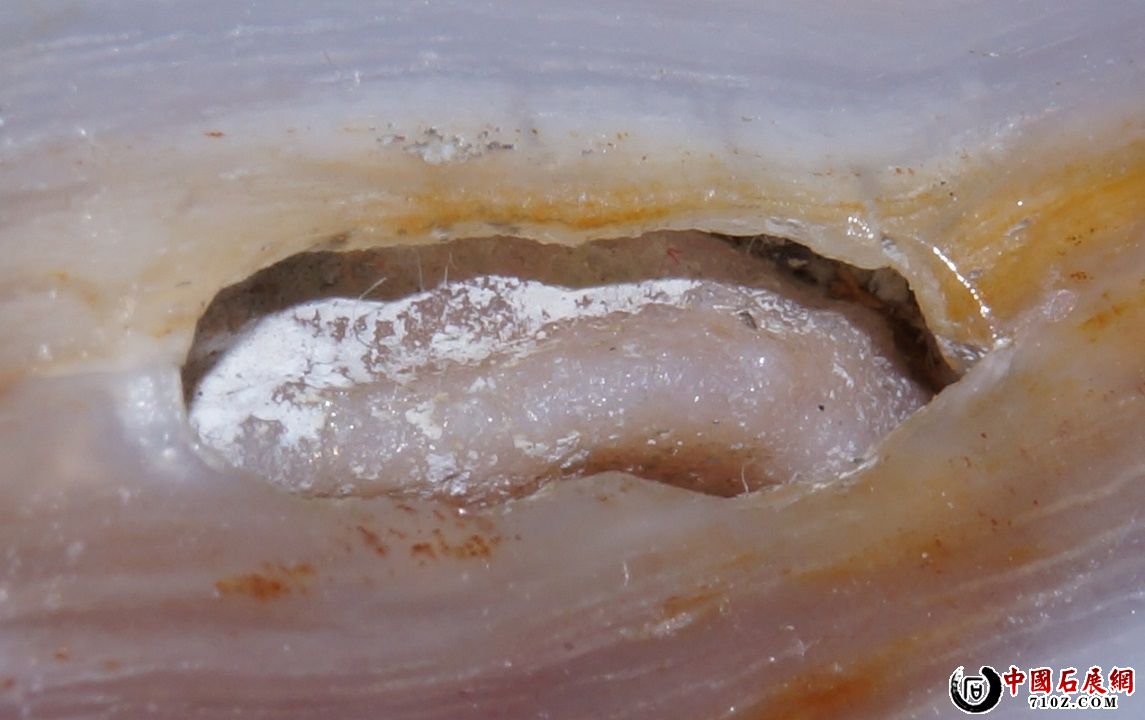 H. �滯�񱻷Ŵ�