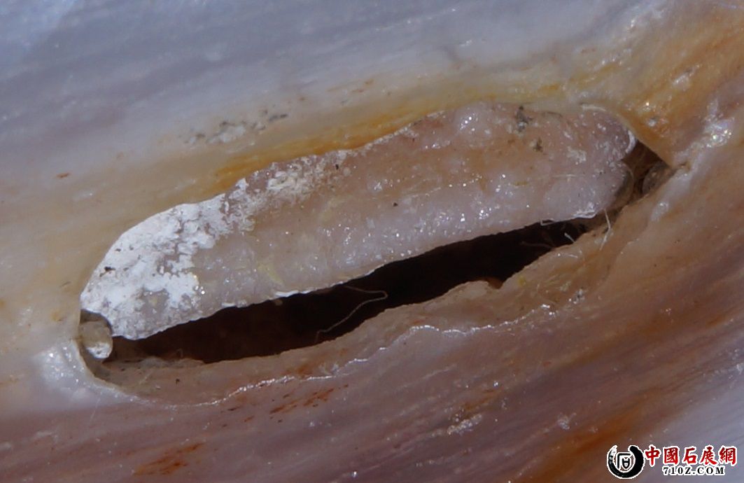 J. �滯�񱻷Ŵ�