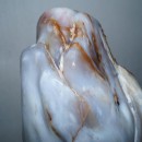 �װ���һƬ���ż�����ƣ�������ڸ������棬ͦ����͹�����˲���̬