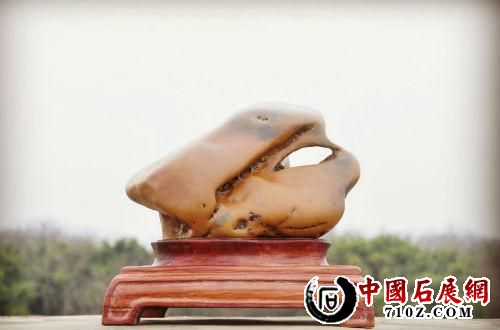 ��ʯ�������ڴ��汭���Ҳ�ʯ����Ʒ��ʯչ�ϻ��