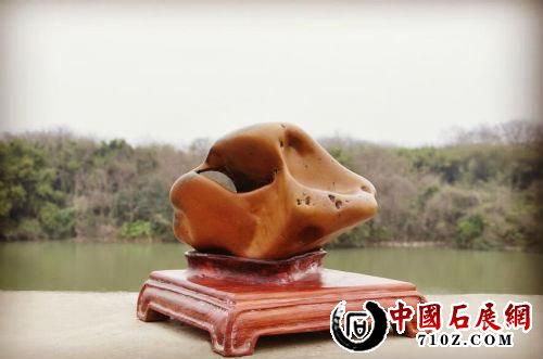 ����ĳ�����ʳι��˥�ϵ�ĸ�� Ԣ�⡰Т����